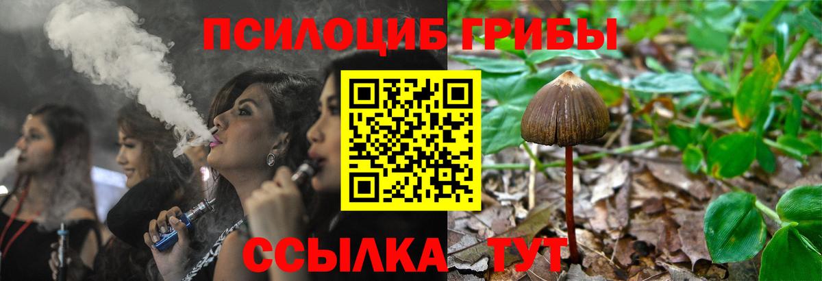 Псилоцибиновые грибы MAGIC MUSHROOMS Биробиджан