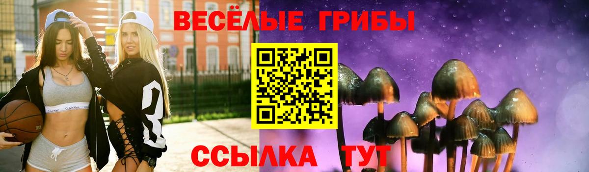 Биробиджан  Псилоцибиновые грибы GOLDEN TEACHER  Вход с VPN 